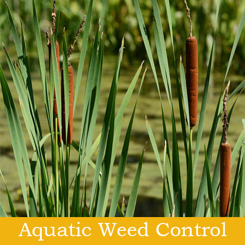 Lake Bottom Blanket - Chemical-Free Weed Control Mat For Ponds & Lakes (10.75ft X 40ft)