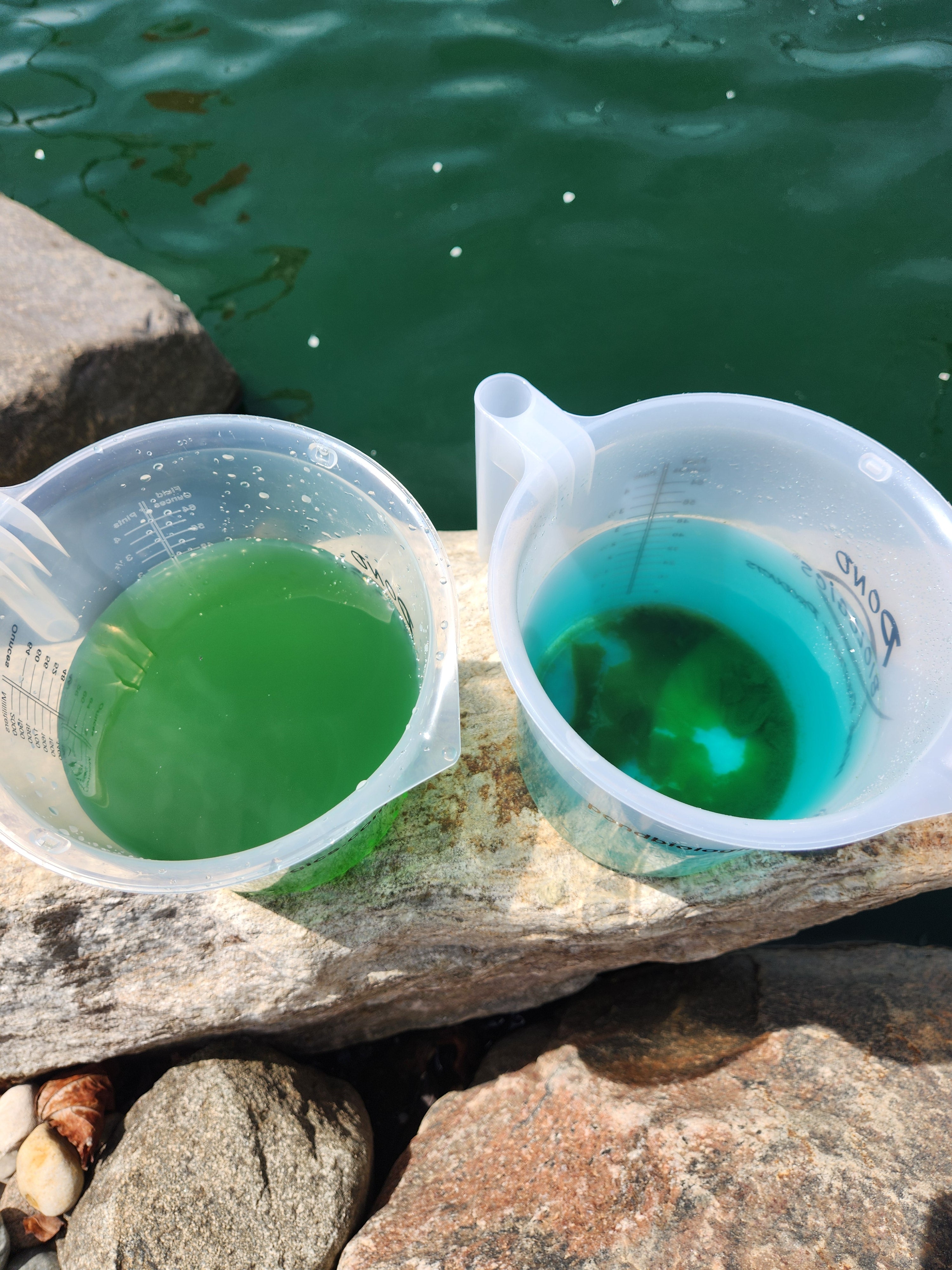 Pond Biologics® AquaLoc™ Water Clarifier and Phosphorus Remover for Ponds and Lakes