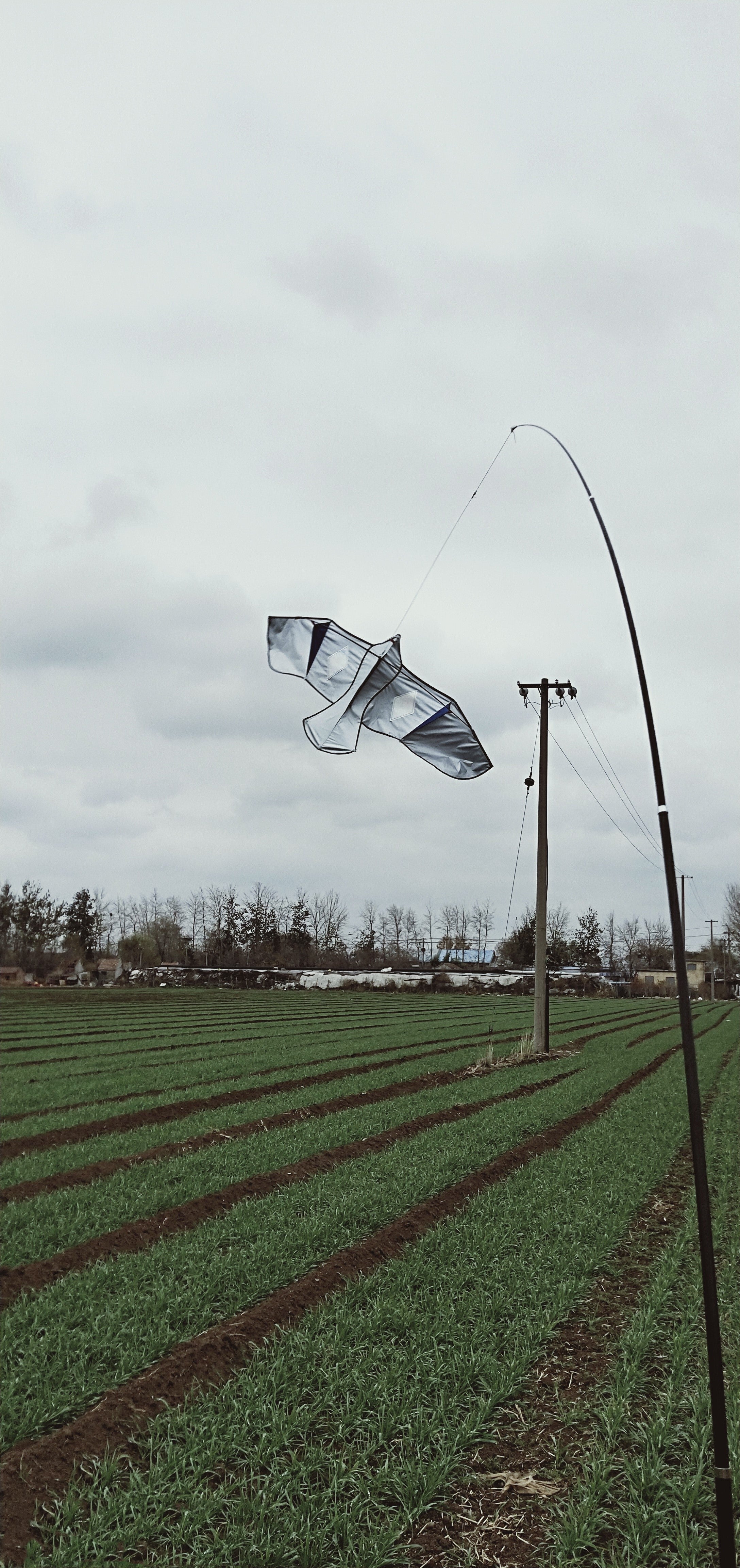 Bird Scaring Kite with 19ft Pole