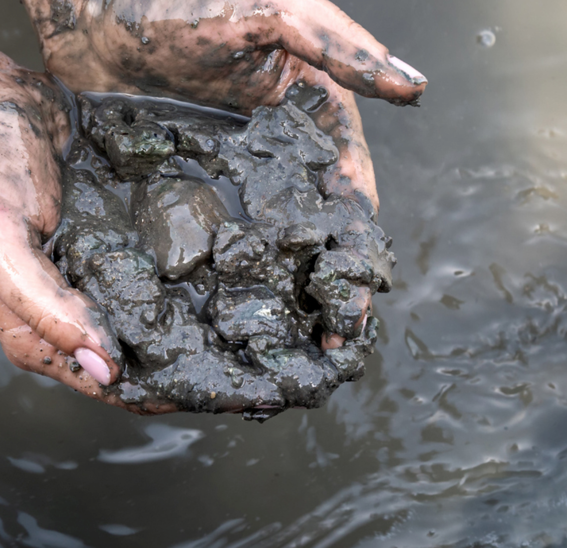 Pond Biologics Bio-Buster Pond Muck Reduction Pellets