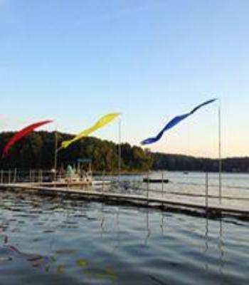 Bird Deterrent Replacement Flags - The Pond Shop