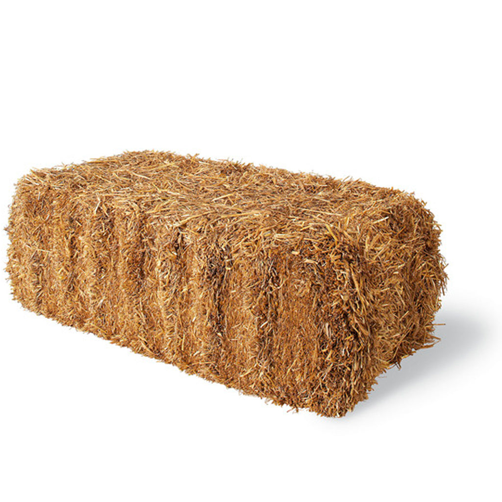 Barley Straw for Algae Control | The Pond Shop, image size:1024x1024