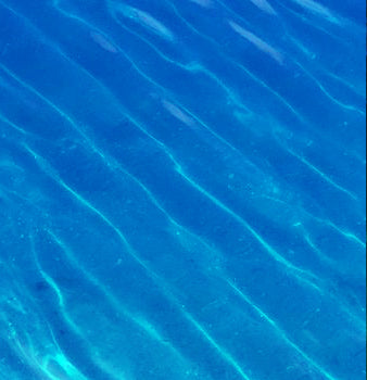 Blue Wing™  Blue Dye Packets - The Pond Shop