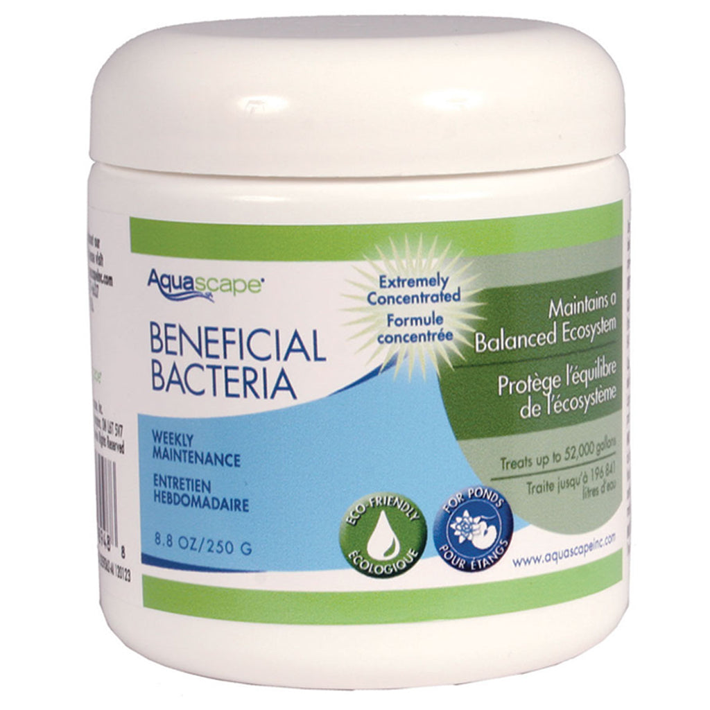 Beneficial Bacteria (Dry)