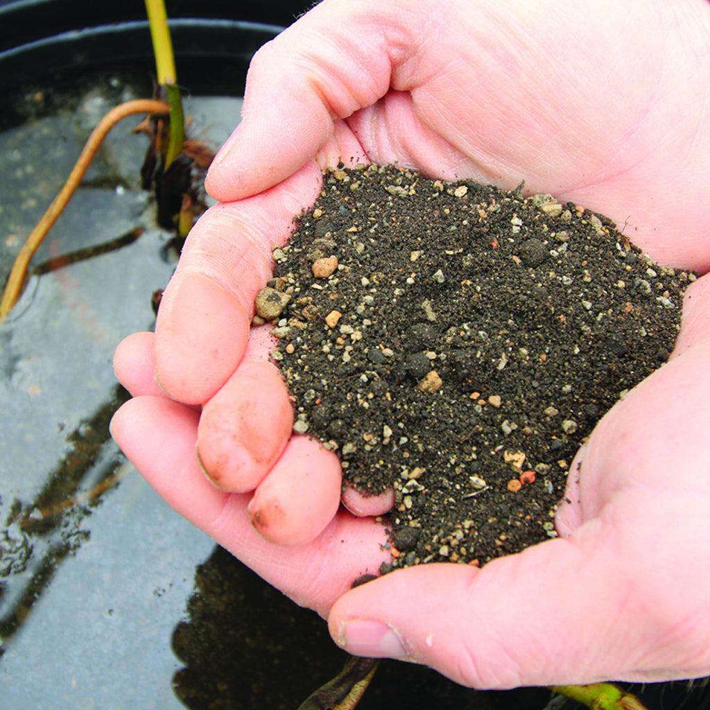 Pond Plant Potting Media