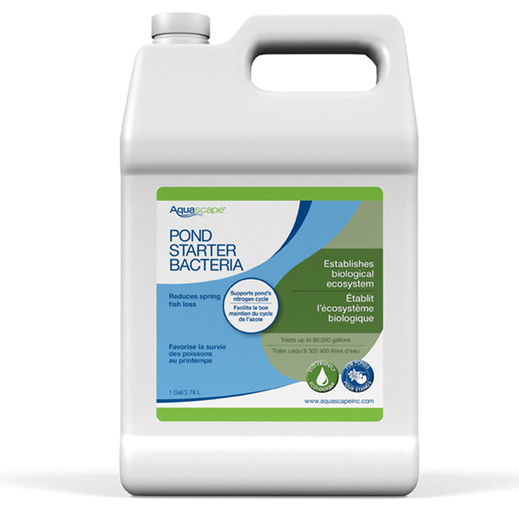 Pond Starter Bacteria