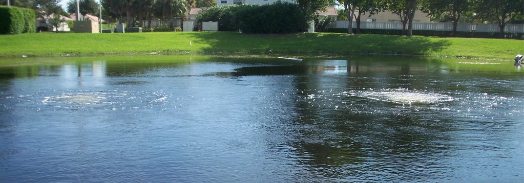 Benefits of Pond Aeration Systems