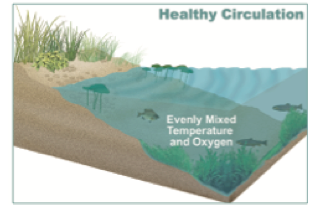 Pond Stratification and Water Mixing