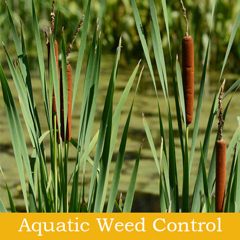 Aquatic Weed Control Products