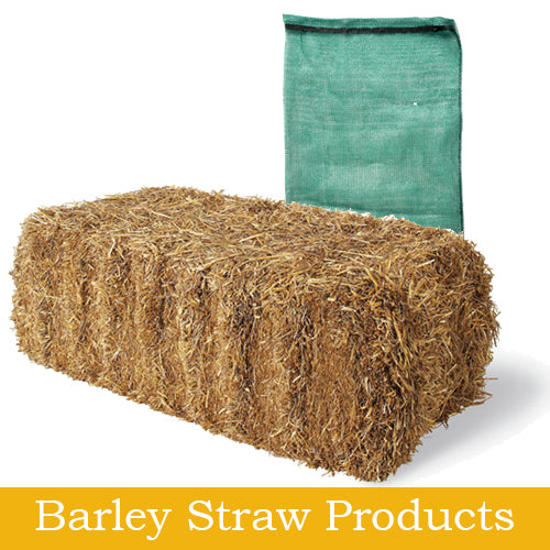 Barley Straw For Pond Algae Control