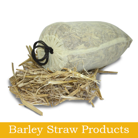 Barley Straw Products