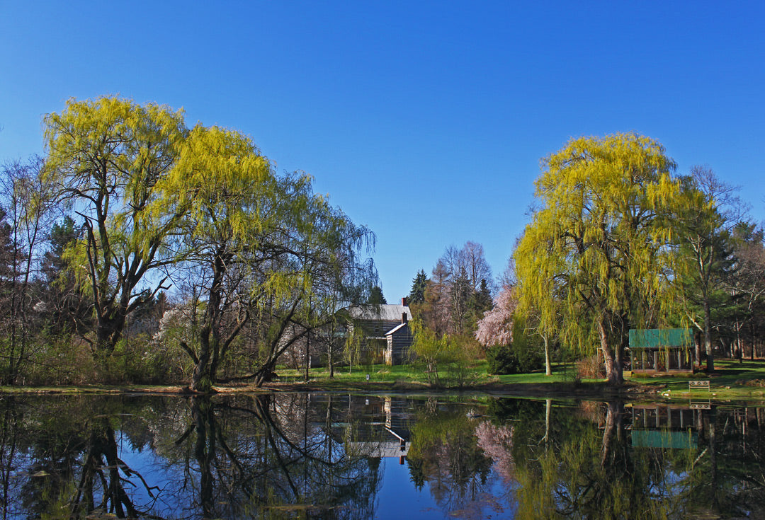 Farm Pond Supplies 