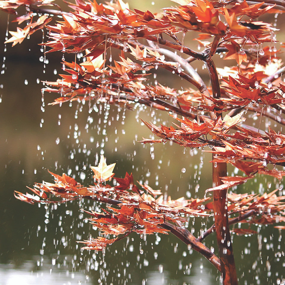 Japanese Maple Tree Fountain - Complete Kit by Blue Thumb