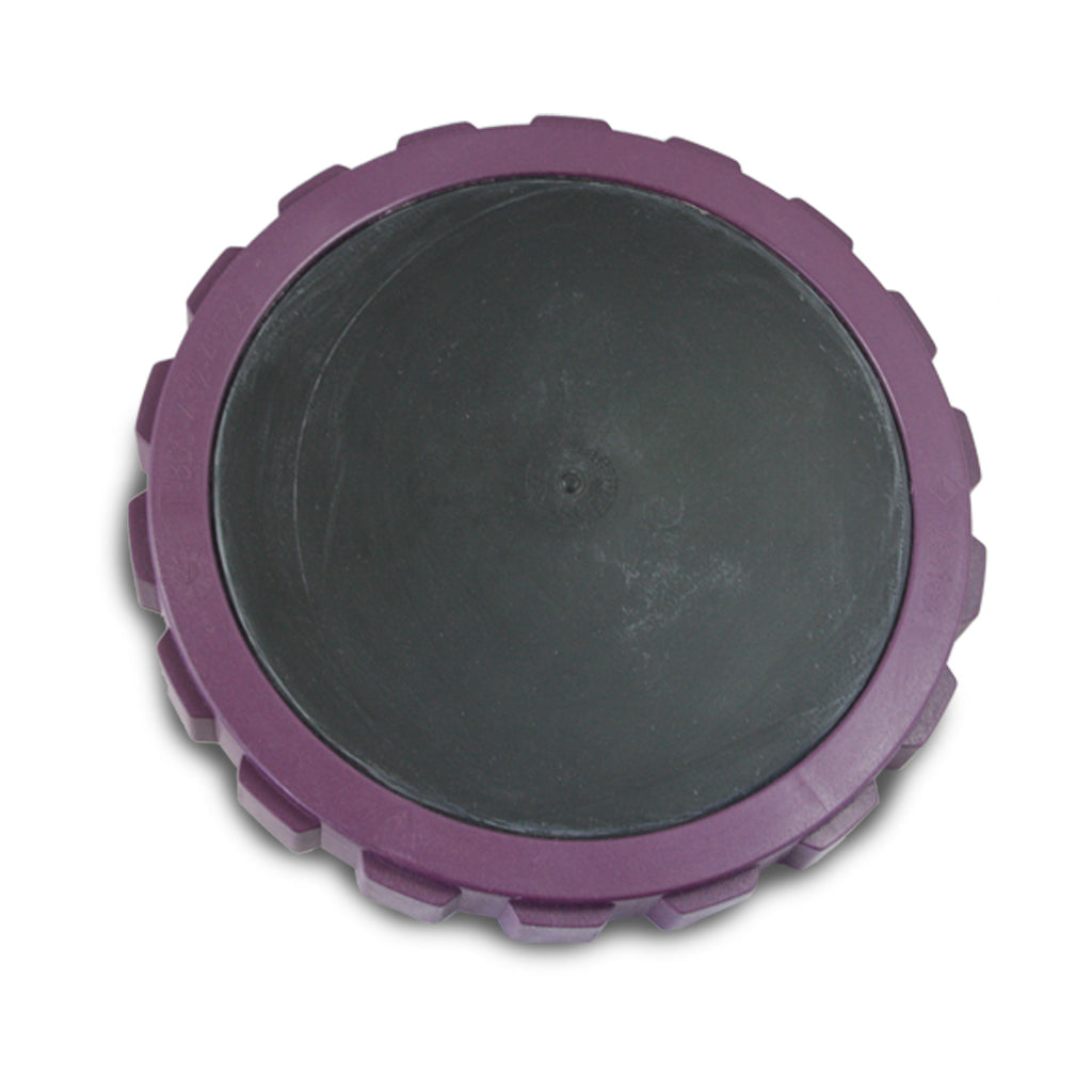 Vertex 9" Replacement Diffuser Disc