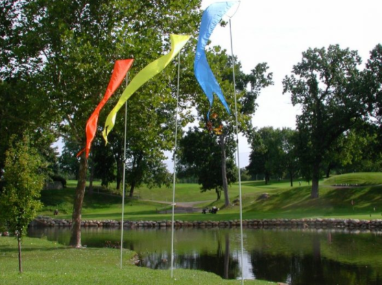 Bird Deterrent Flag Kit with 19 foot Pole