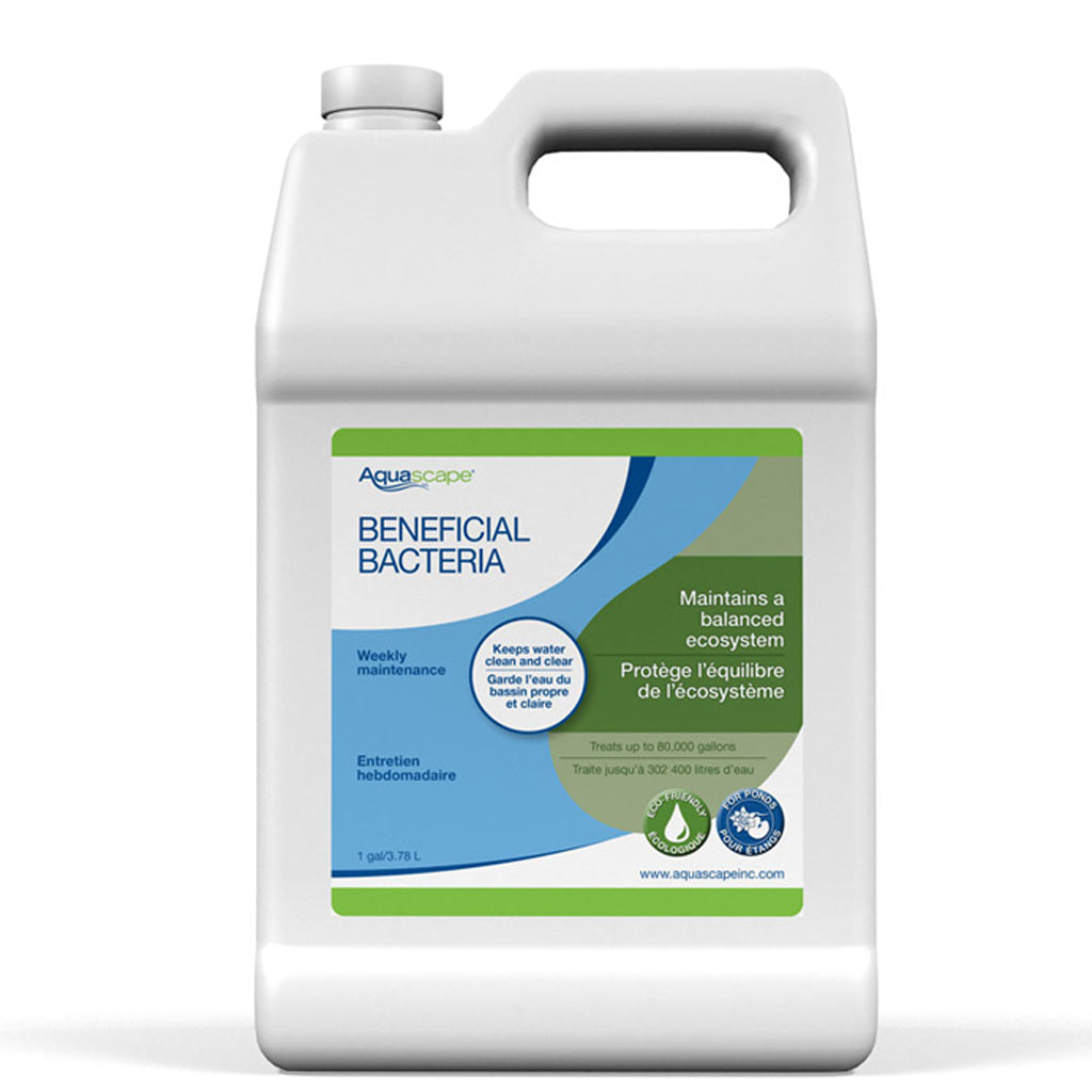 Beneficial Bacteria (Liquid)