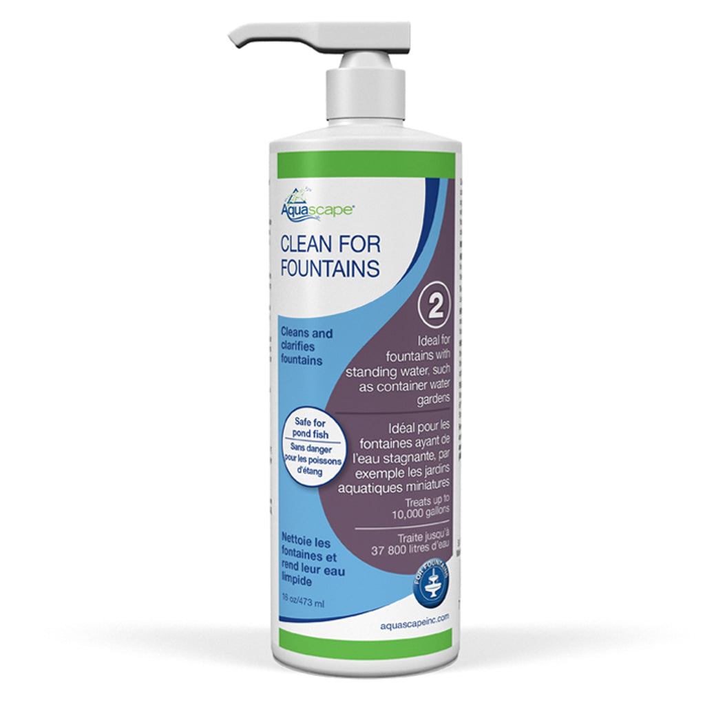 Clean For Fountains