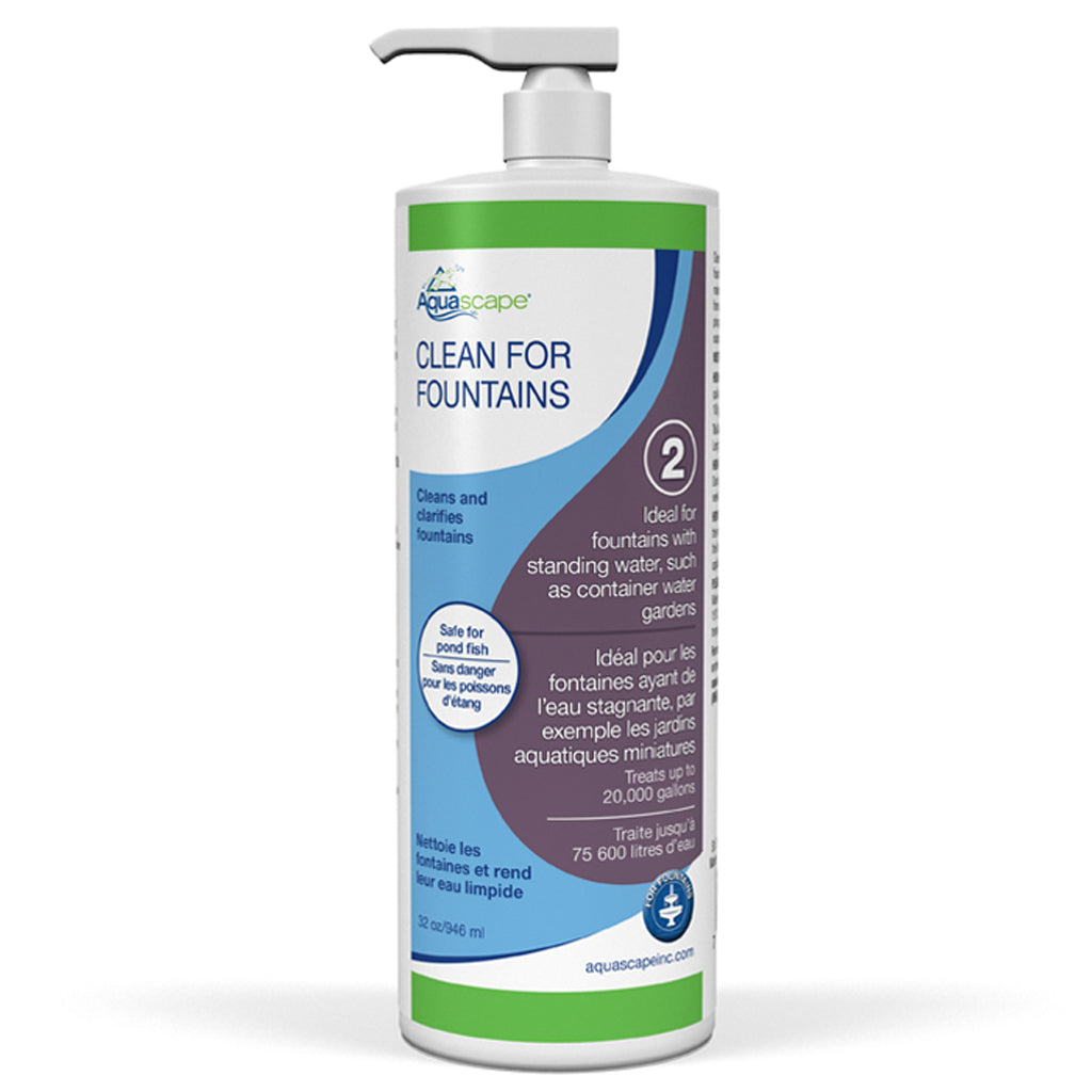 Clean For Fountains