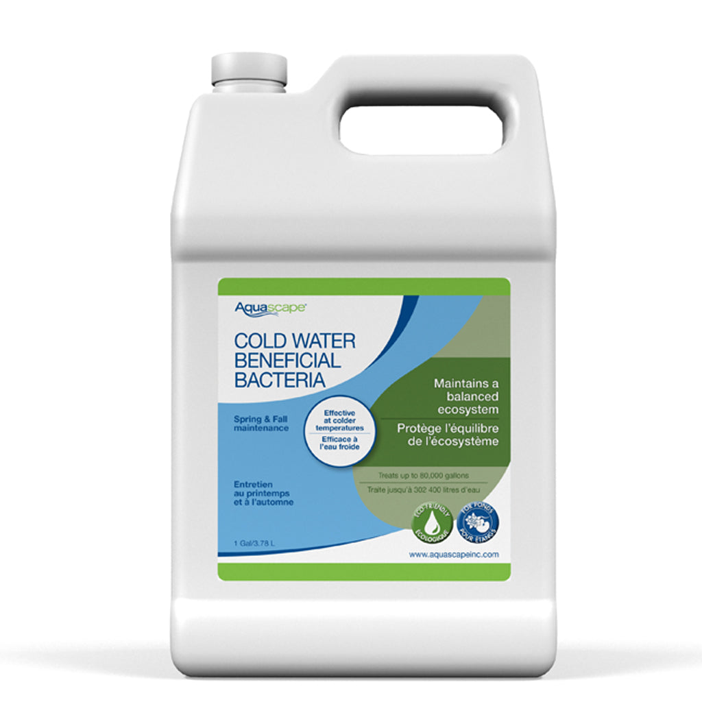 Cold Water Bacteria