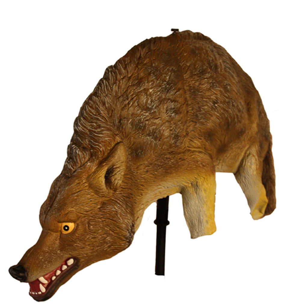 3D Coyote Decoy